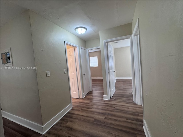 corridor with dark wood-type flooring