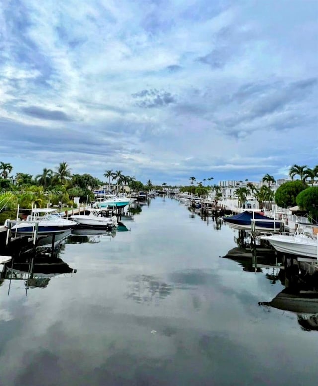 property view of water featuring a boat dock