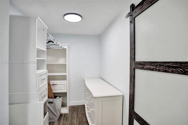 view of spacious closet