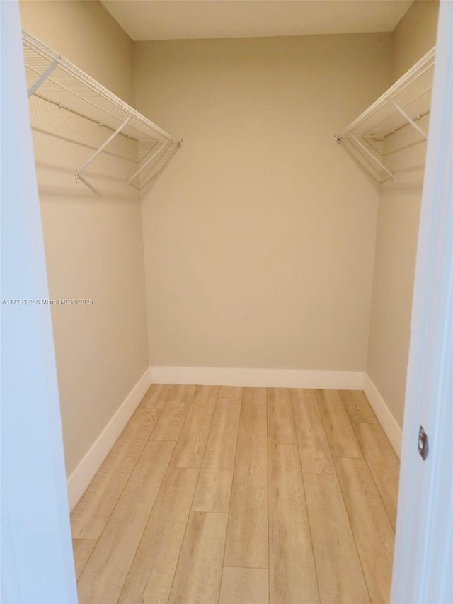 view of walk in closet