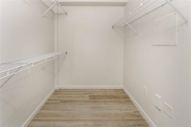 spacious closet featuring light hardwood / wood-style floors