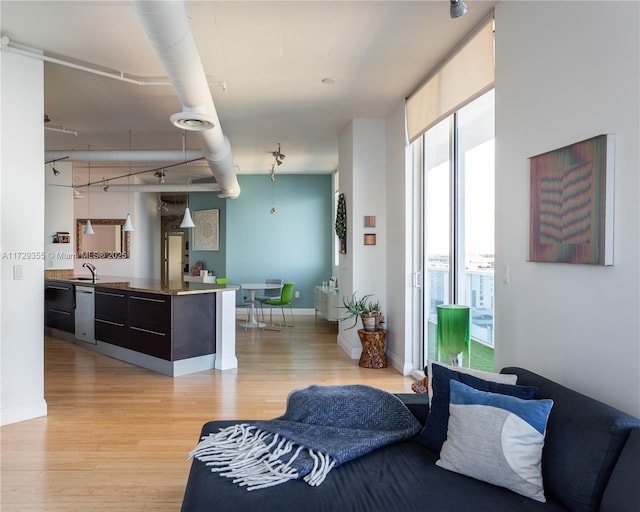 interior space with sink, a wall of windows, light hardwood / wood-style floors, and track lighting