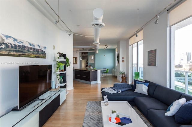 living room with light wood-type flooring and a wealth of natural light