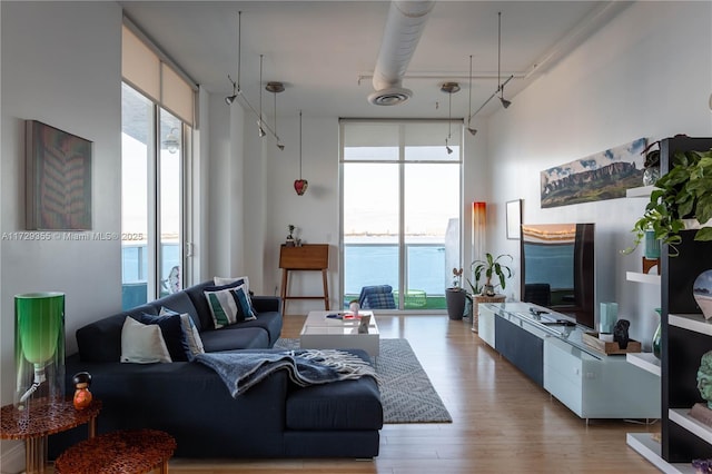 living room featuring a wall of windows and hardwood / wood-style flooring