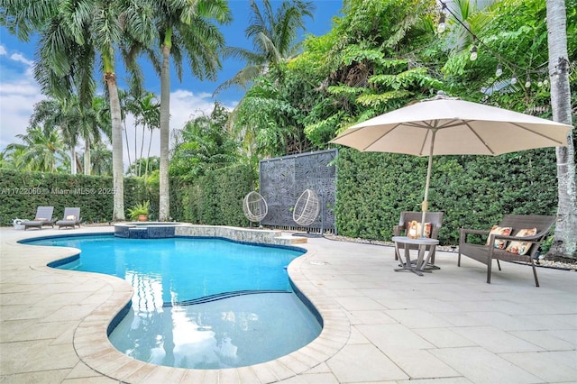 view of pool with a patio