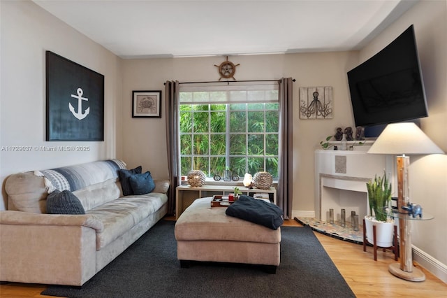 living room featuring hardwood / wood-style floors