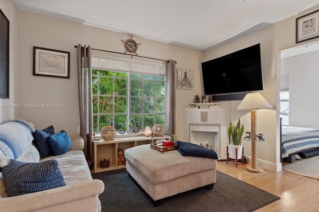 living room featuring wood-type flooring