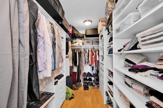 spacious closet with light hardwood / wood-style floors