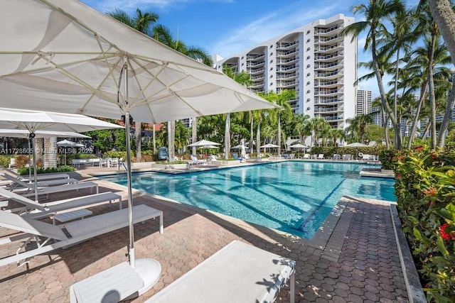 view of swimming pool featuring a patio