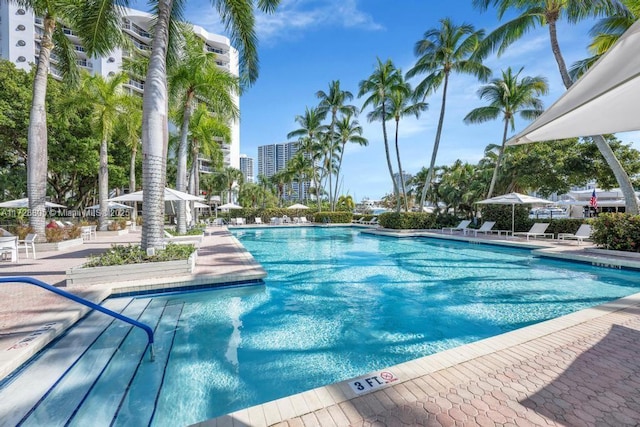 view of swimming pool featuring a patio area