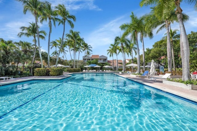 view of swimming pool