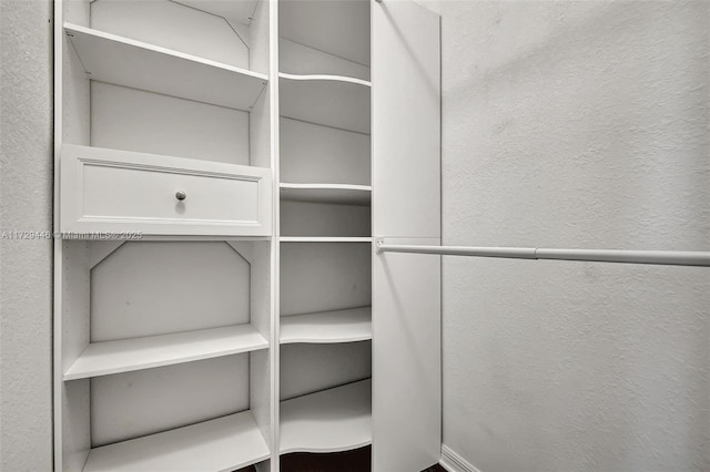 view of walk in closet