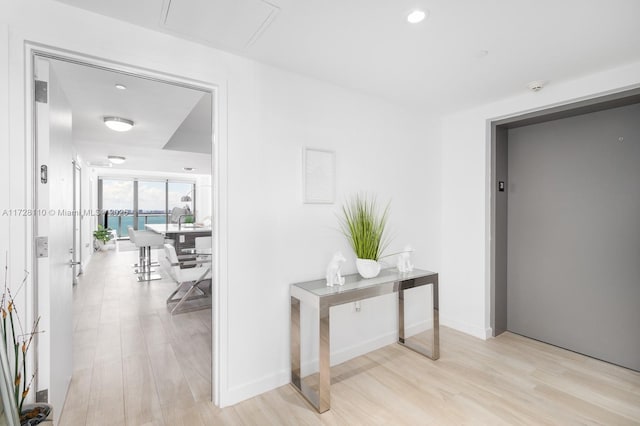 hallway featuring light hardwood / wood-style flooring and elevator