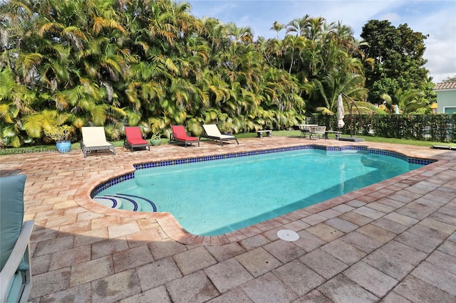 view of pool with a patio