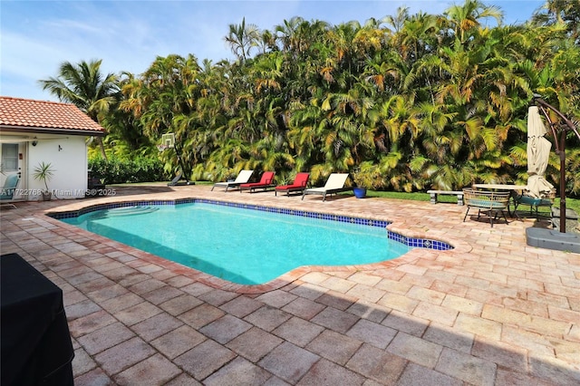 view of swimming pool featuring a patio area