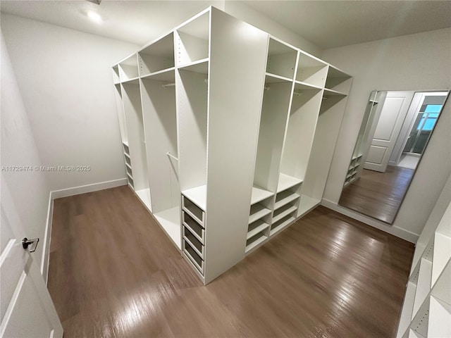 mudroom with dark wood-type flooring