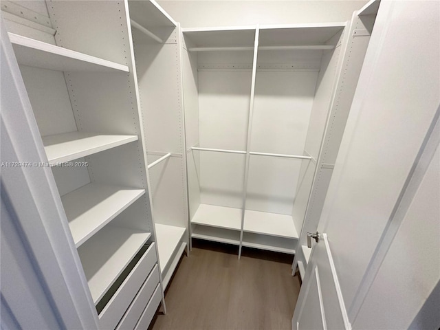 walk in closet with dark hardwood / wood-style flooring