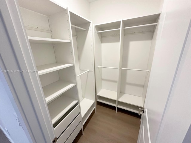 walk in closet with dark hardwood / wood-style floors