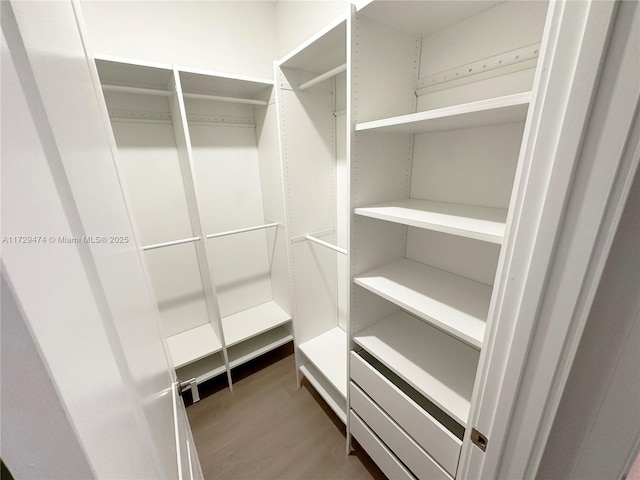 walk in closet with dark hardwood / wood-style flooring