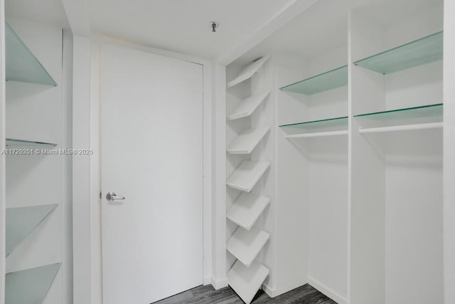 walk in closet with dark hardwood / wood-style flooring