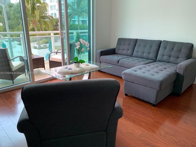 living room featuring wood-type flooring