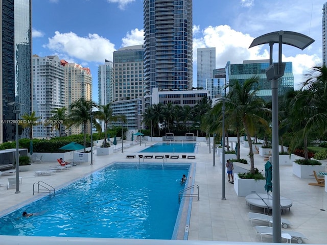 view of pool featuring a patio