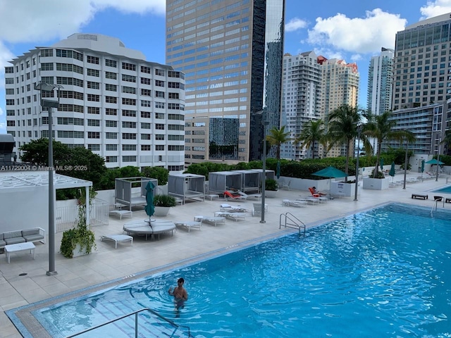 view of swimming pool with a patio