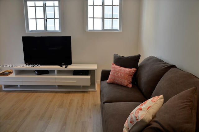 living room featuring light hardwood / wood-style floors