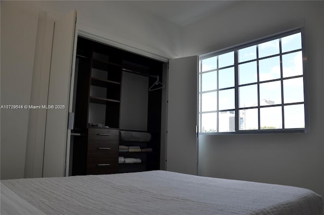 bedroom with a closet