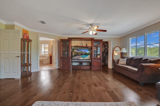 living room with a textured ceiling, dark hardwood / wood-style flooring, and ornamental molding