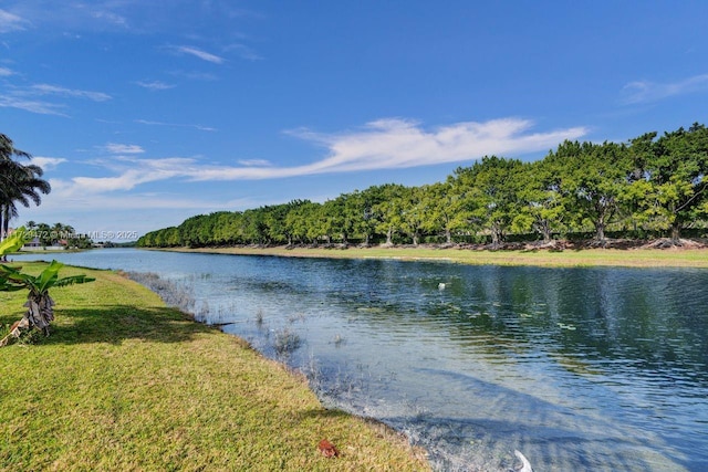 property view of water