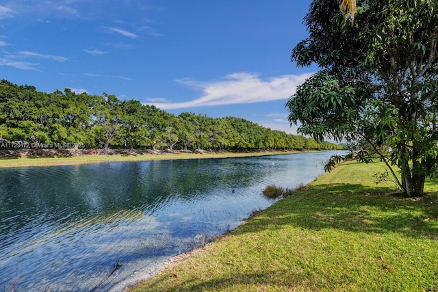 water view