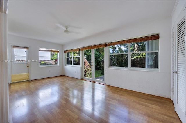 interior space featuring ceiling fan and light hardwood / wood-style flooring