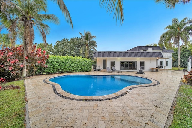 view of swimming pool with a patio area