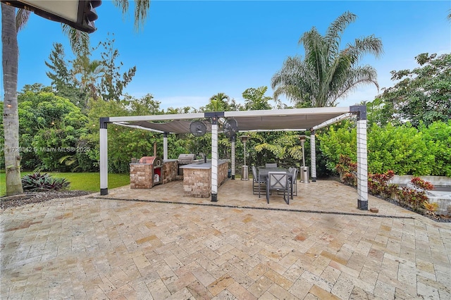 view of patio / terrace with an outdoor kitchen and grilling area