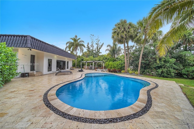 view of pool with a patio and a pergola