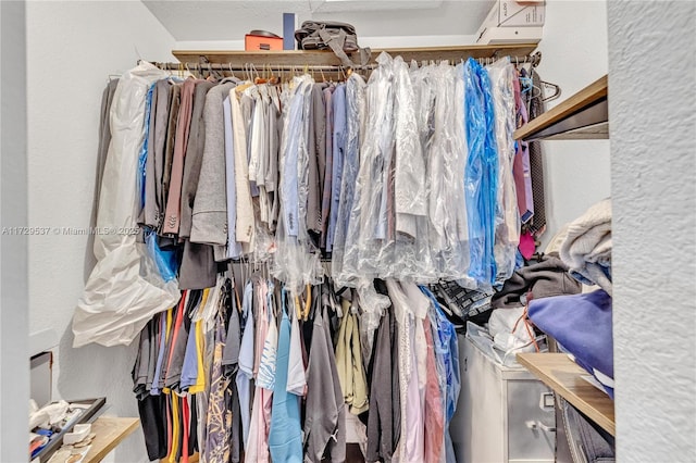 view of spacious closet