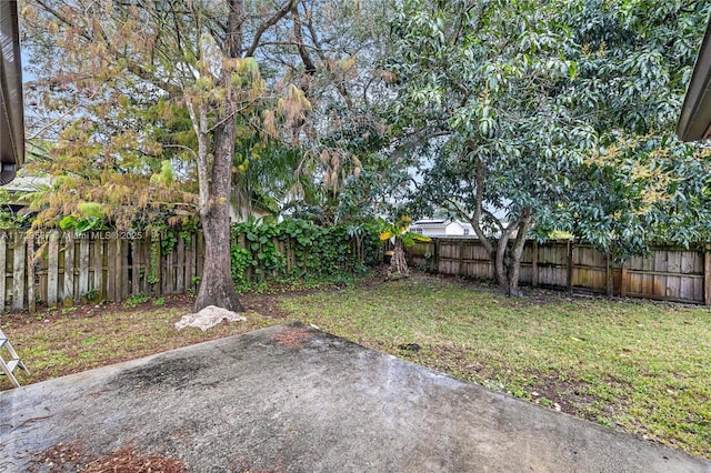 view of yard featuring a patio area