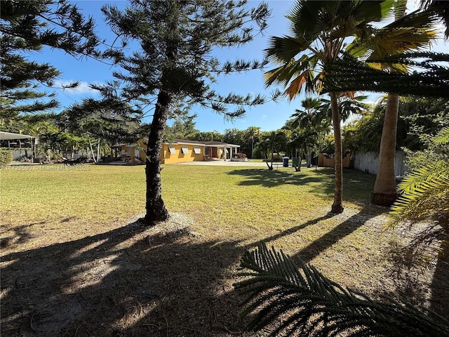11845 SW 97th Ave, Miami, FL 33176 - view of yard