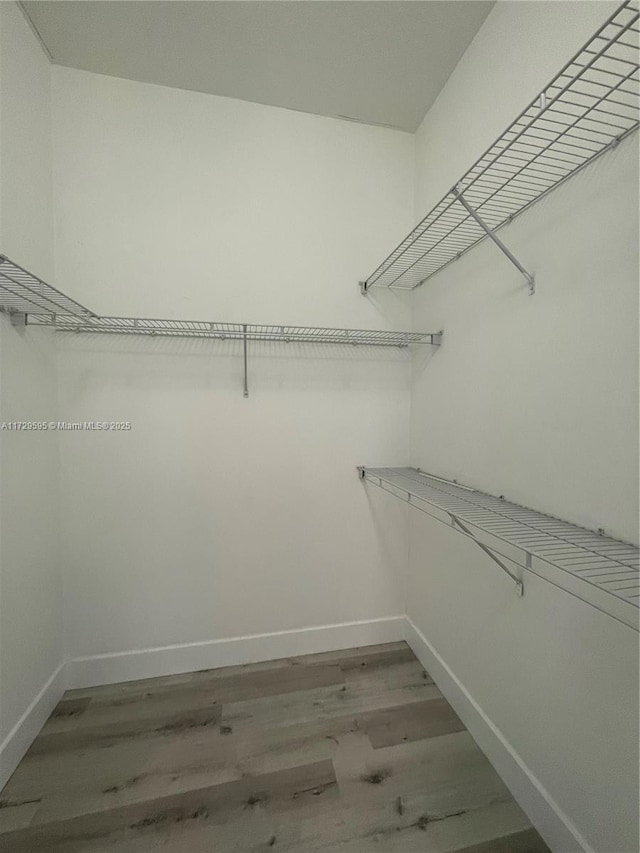 spacious closet with wood-type flooring