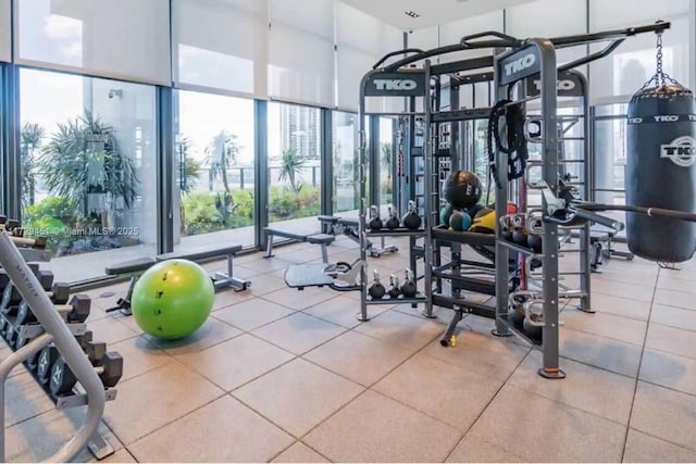 workout area with plenty of natural light