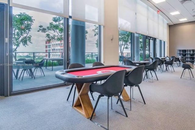 playroom with expansive windows and carpet