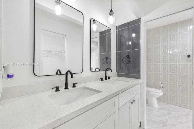 bathroom featuring toilet and vanity