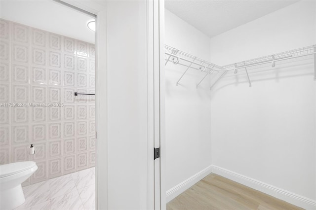 walk in closet with light wood-type flooring