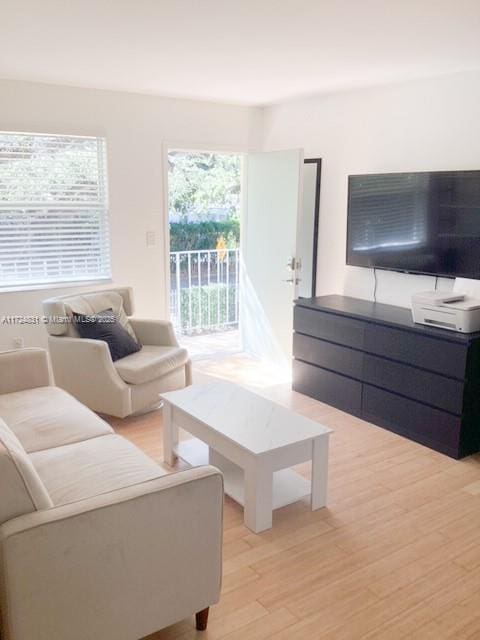 living room featuring light hardwood / wood-style flooring