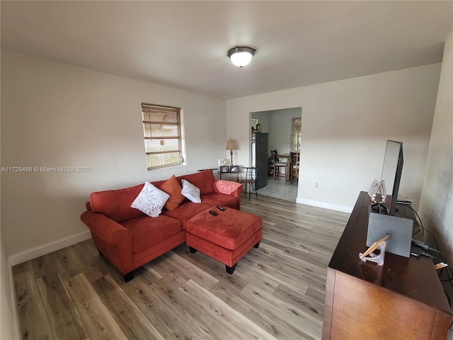 living room with hardwood / wood-style floors