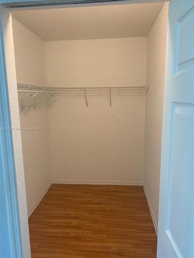 walk in closet featuring hardwood / wood-style floors