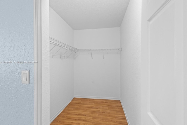 walk in closet with light hardwood / wood-style floors