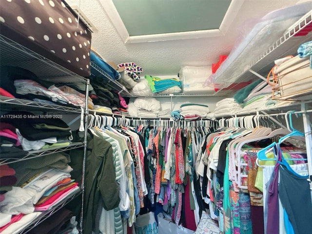 view of spacious closet