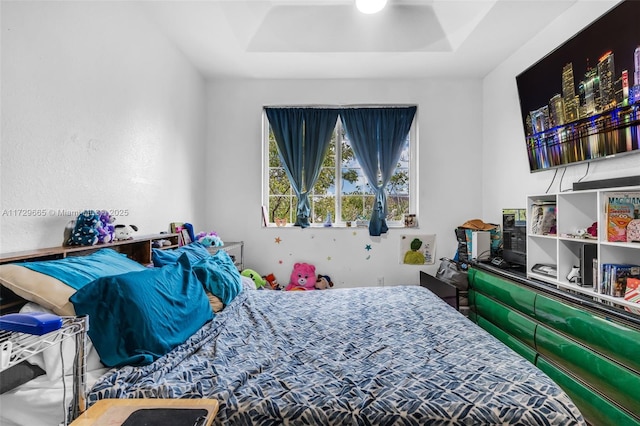 bedroom featuring a raised ceiling